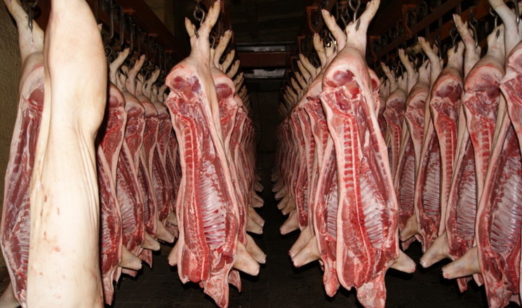 Виробництво свинини в ЄС – найменше за 8 років