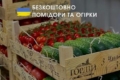 Уманський тепличний комбінат безкоштовно віддає волонтерам томати та огірки