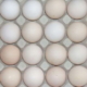 Яйця подешевшали на 6% протягом 10 днів