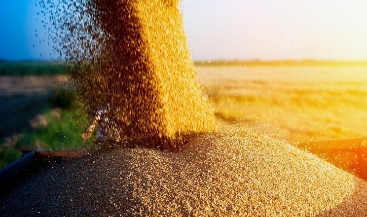 Україна експортувала майже 46 млн тонн зерна