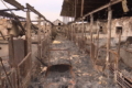 У харківському господарстві за окупації згоріло 120 голів худоби