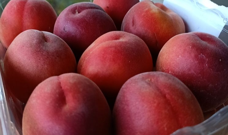 Червоні абрикоси продаються на третину дорожче звичайних