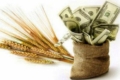 НБУ урегулював діяльність Фонду часткового гарантування кредитів у сільському господарстві