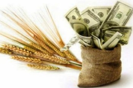Аграрії отримали 25,8 млрд грн кредитів за програмою «5-7-9%»