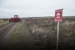 На прикордонних територіях Сумщини не вдалося зібрати урожай ранніх культур