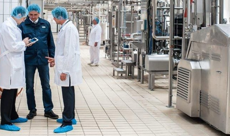 Транснаціональні компанії в Україні  відновлюють виробництво молочних продуктів