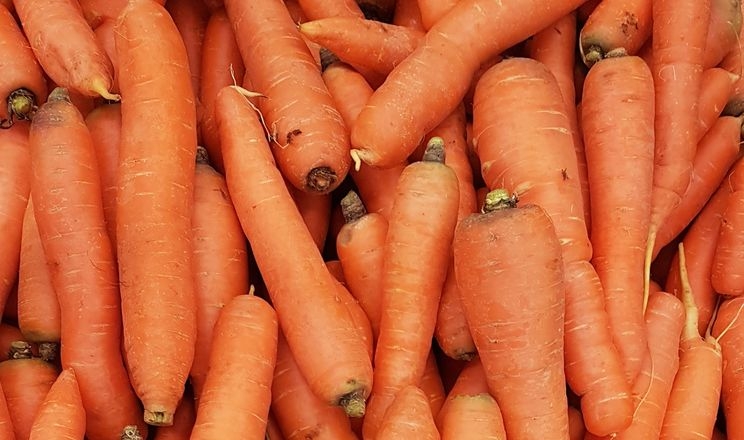 Ціни на моркву низькі, але типові 