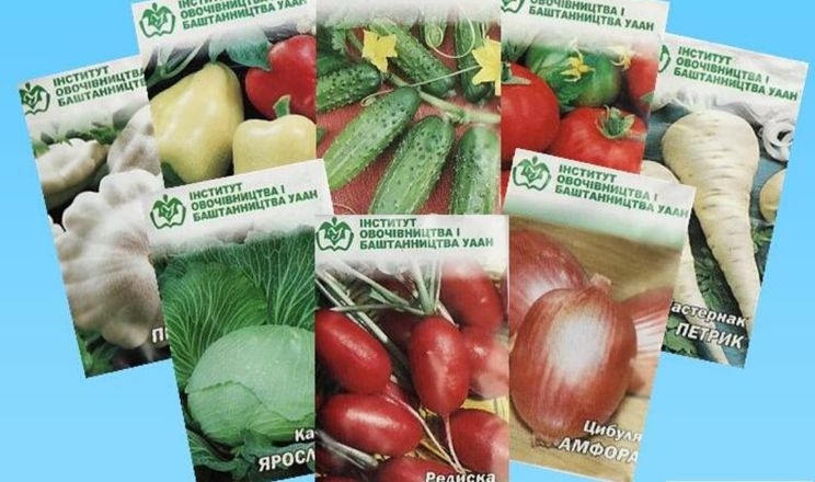 Кооператив на Харківщині продаватиме овочі дрібних виробників