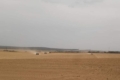 Тернопільщина вже перевиконала план сівби ярих пшениці та ячменю