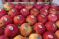 Українські фрукти стають популярнішими за кордоном