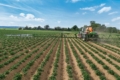 Інтегрований захист посівів забезпечує економію ЗЗР до 60%