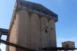 Зерновий термінал Grain Alliance у Словаччині перевалив близько 70 тис. тонн збіжжя