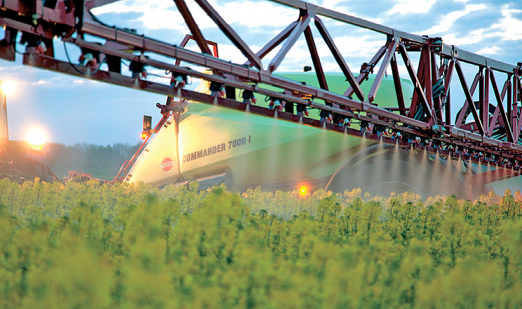 Поширені хвороби озимого ріпаку навесні в зоні ризикованого землеробства та їх профілактика