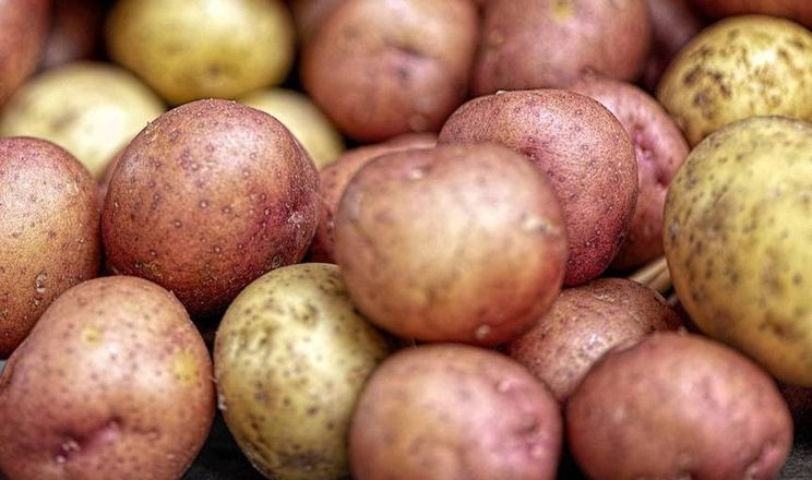 Україна в І кварталі наростила імпорт і експорт картоплі