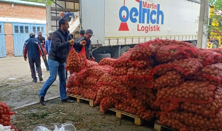 На Харківщині висадили 40 тонн картоплі з гуманітарної допомоги