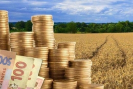 Вперше з початку війни всі лідери агроринку вийшли в прибуток