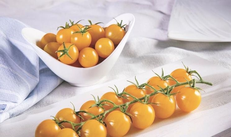 На Global Tomato Congress покажуть жовті томати чері