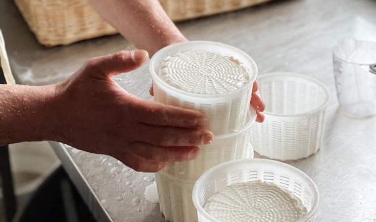 На Сумщині планують створити мережу мініцехів із перероблення молока