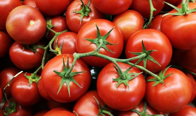 Генномодифіковані томати можуть стати джерелом провітаміну D3