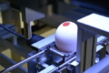 ААТ працює над Раман-спектроскопічним методом визначення статі курчат