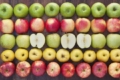 Спочатку експортують червоні яблука, потім – жовті і в кінці – зелені