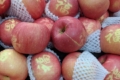 Прогнозують, що урожай яблук у Китаї знизиться на 30%