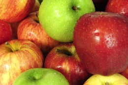 Черкаські садівники очікують подорожчання яблук на 30% взимку