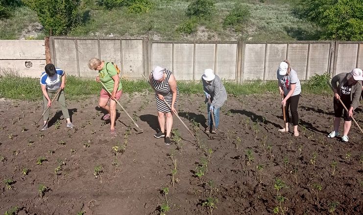 На Кіровоградщині засадили овочами громадські городи