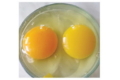 Різні каротиноїди відкладаються у яйці з різною інтенсивністю