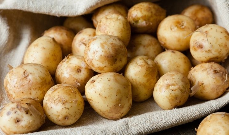 Молода картопля в 10 разів дорожча старої