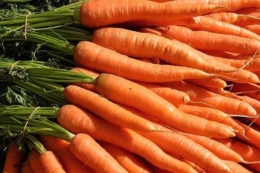 Ціни на молоду моркву суттєво знизилися