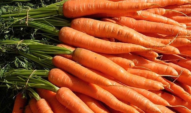 До кінця осені ціна на моркву зрости до 13-18 грн/кг