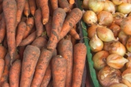 «Калина Бугрин» розширює експорт овочів завдяки сучасним сховищам