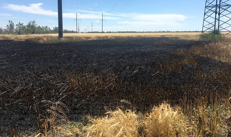 На Миколаївщині за добу згоріло понад 80 га пшениці