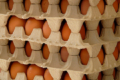 Виручка від експорту яєць за 11 місяців скоротилася на 12,6%
