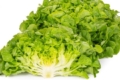 Зберігання салату в холодильнику зменшує ризик зараження E. coli