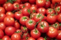 Марокко і Туреччина не можуть компенсувати дефіцит томатів у ЄС