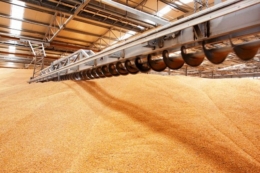 Україна експортувала майже 27,5 млн тонн зерна