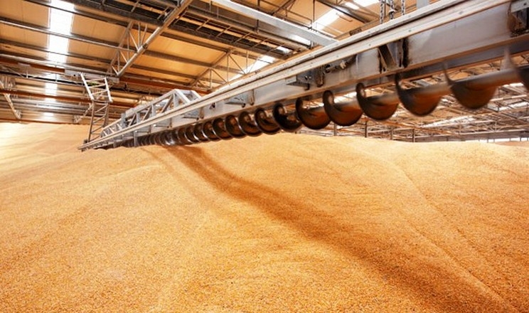 Експорт зерна перевищив 22,7 млн тонн
