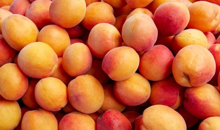 Одесити продали абрикосу дорожче за черешню
