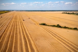 «Астарта» у 2025 році експортувала агропродукцію до 48 країн світу