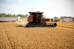 У 2025 році підприємства «Астарти» сплатили близько 2,4 млрд грн податків і зборів