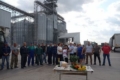Елеватори «ТАС АГРО» приймають першу пшеницю нового врожаю