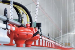 Автоматичне промивання ліній напування у пташнику потребує не більше води, ніж ручне