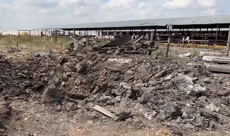 Від російських ракет загинуло 22 корови на миколаївській фермі