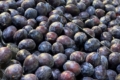Чернівецький фермер продав фрукти в столиці удвічі дорожче