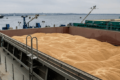 У січні експорт агропродукції «зерновим коридором» скоротився на чверть