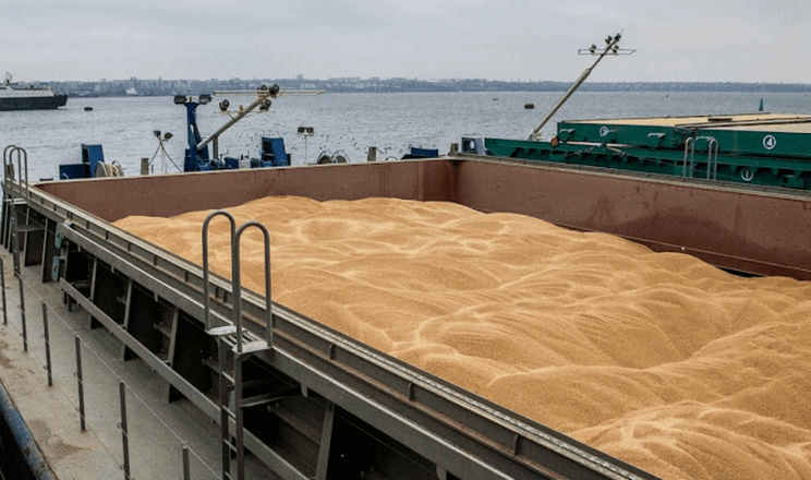 Ємен отримає 30 тисяч тонн української гуманітарної пшениці