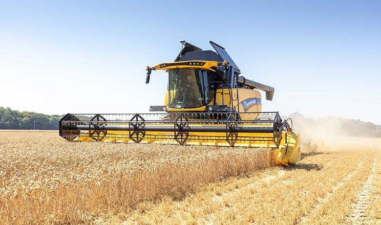 Україна очікує врожай у 67 млн тонн зернових та олійних