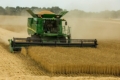 Аграрії Харківщини зібрали понад 800 тис. тонн зерна нового врожаю